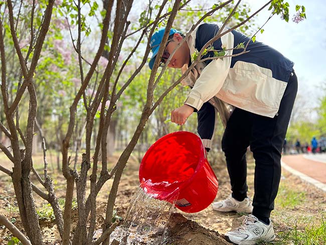 植树程序已启动：开发一部正在输出绿色...